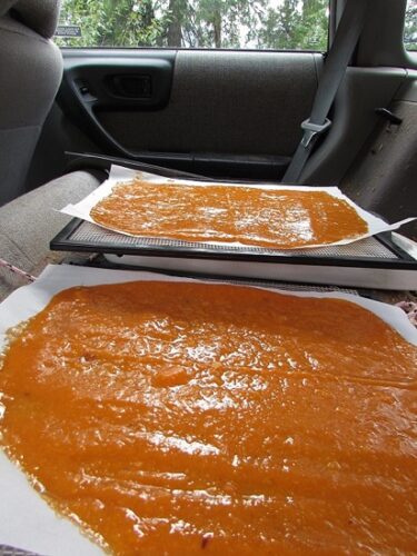 Videos for Preserving Summer Harvests: Easy Jam, Cherry Preserves, and Dehydrated Fruit Leather